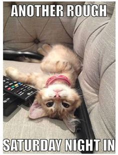 7def5472939707b8da16c9422f1fde8b