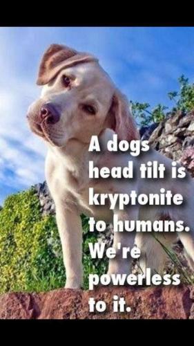 ef47cd2aae00aa831bc7d1eeed82b78e