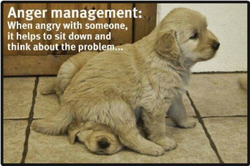 0a7c3b1b67468880a554bc10e6c9ab43