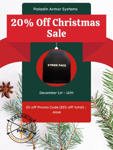 Paladin armor christmas sale 800px