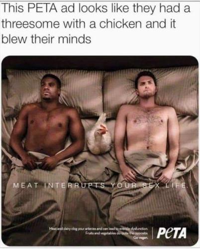 PETA ad