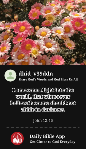 2023-12-221703228184309