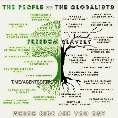 8d5ff6a7-7a7c-438c-abf9-f48a3db2198e_956x890