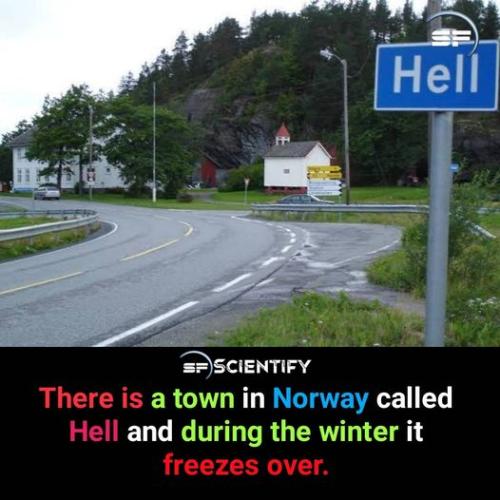 411455974_122149079336028538_8920625263941751697_n