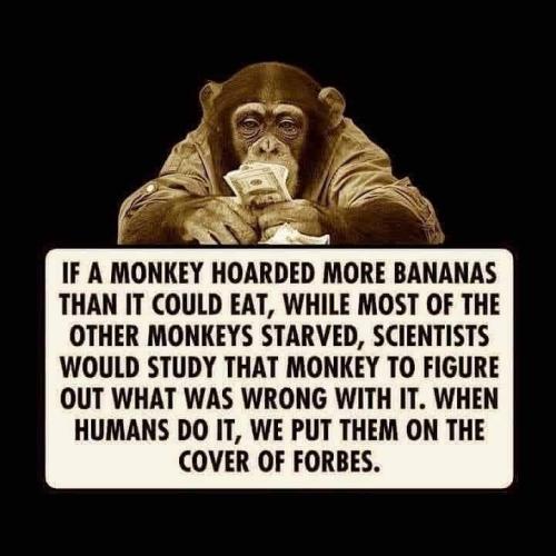 FB_IMG_1702678484471