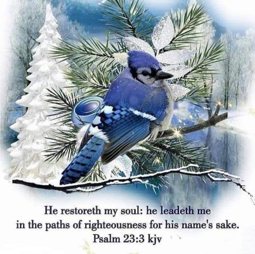 66ba7d30-4ac2-4668-bbc4-44be7f722018