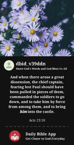 2023-12-081702046979743