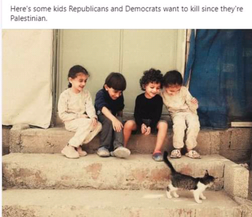 Screenshot_2023-12-21-21-35-42_kindlephoto-45631989