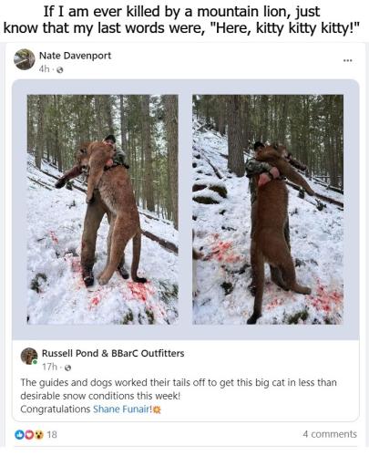 If I am ever killed by a mountain lion