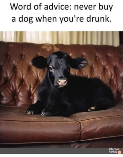 FB_IMG_1702734707734