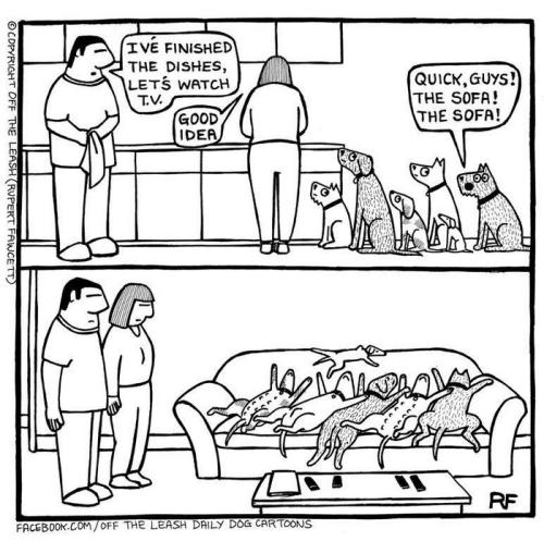 funny-dog-cartoons-off-the-leash-148-588879b54467c__700