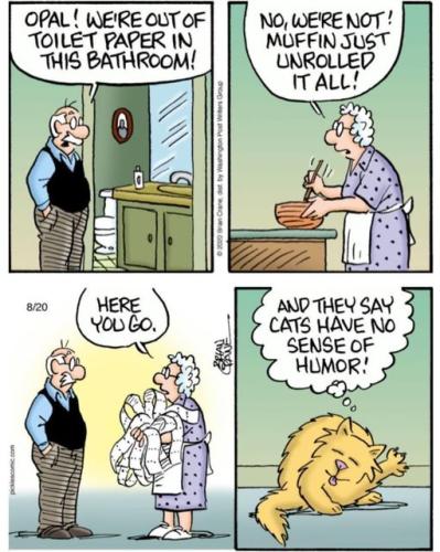 412608103_207832352389376_3608034248737768975_n