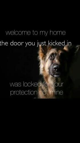 d72b9dd6030b5339b714954090ab9d7b