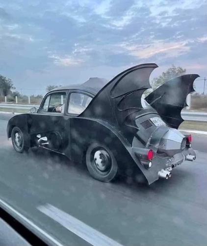 bat wings