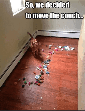 so-decided-move-couch