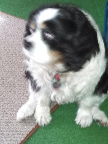 IMG_20130531_091233_385