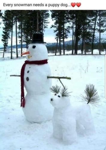snow doggie