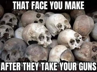 after they take your guns