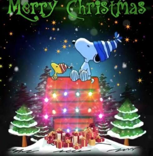 369e7e70ce82a5fa228e721d34bee795