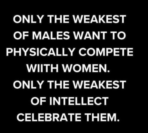 Screenshot_20231222_071648_Telegram