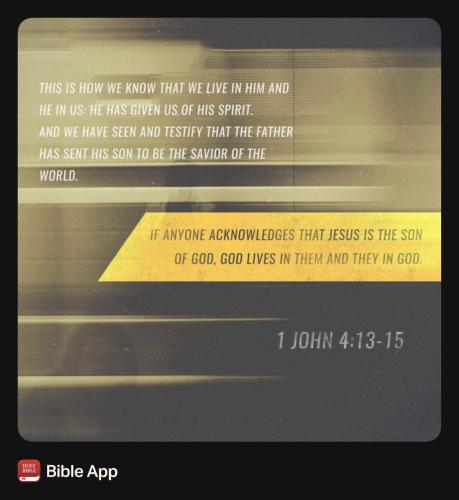 FAITH - 1 John 4.13-15 NASB 9115