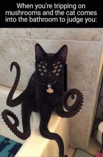 img - 2023-12-12T085438.261