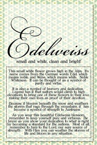 a3ce06e7b1d068698ef018044b3d45aa