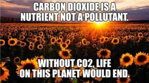 not a pollutnant