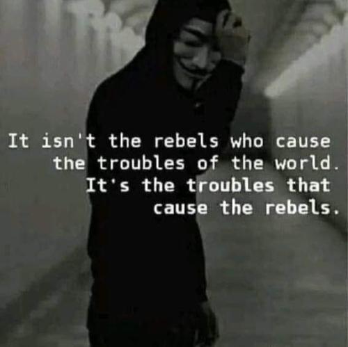 FB_IMG_1703364422724