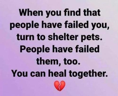 19e47dd2d93e89e530c77936f5ed8dec