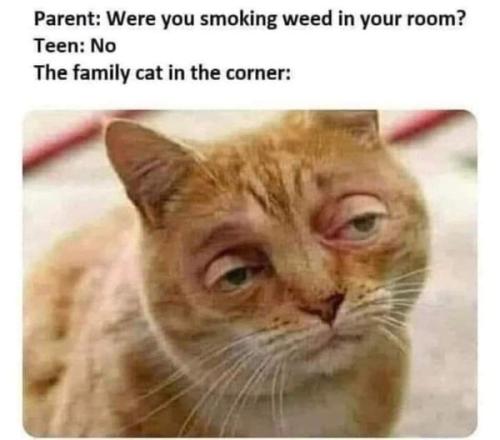 weed