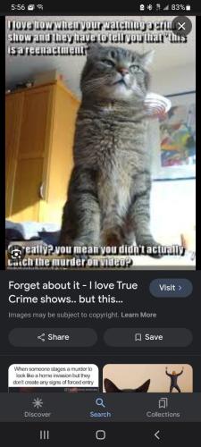 Screenshot_20231218-175659_Google