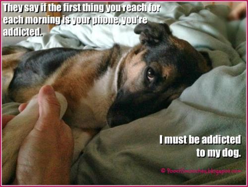 04c1fba005df8022e991f17fa863d1b7