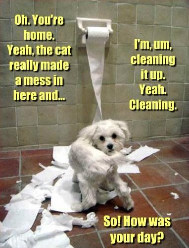 sngine_7bd10361f8ae2cbffc1e33696e25528a