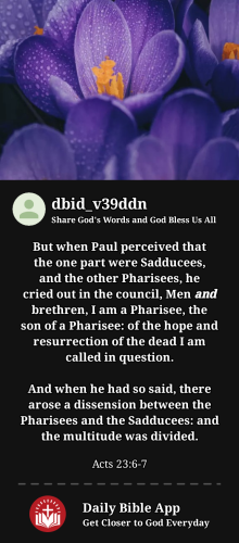 2023-12-081702046965682