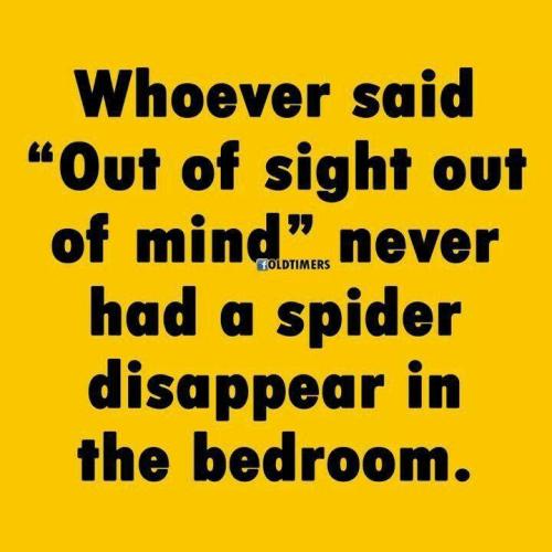 sngine_07172c1ac6eaece1980c9fd0ea238644