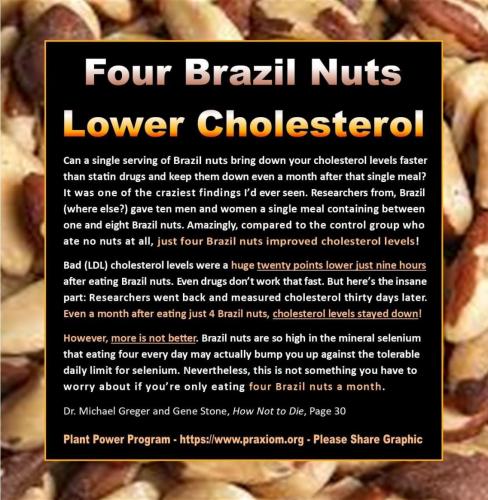 Brazil nuts for cholesterol