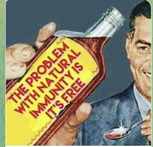 FB_IMG_1702467131196