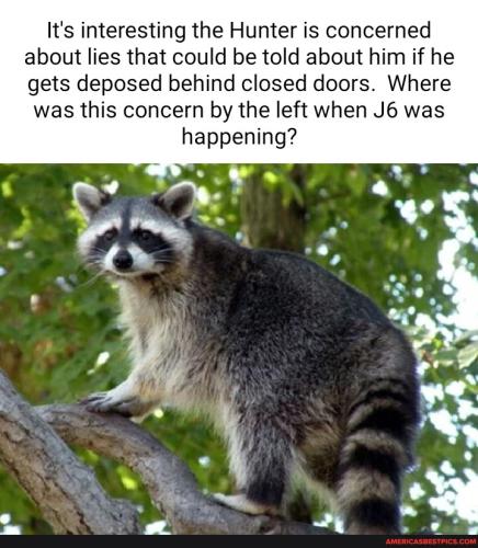 c5bb2e55c149412c07d07f66b8c961d82c1a67eac64f940206e43a6a1bcbac51_1