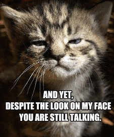 and-yet-despite-look-on-my-face-are-still-talking