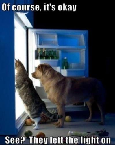 aa0c61993fa6321efd8ab513353dba22