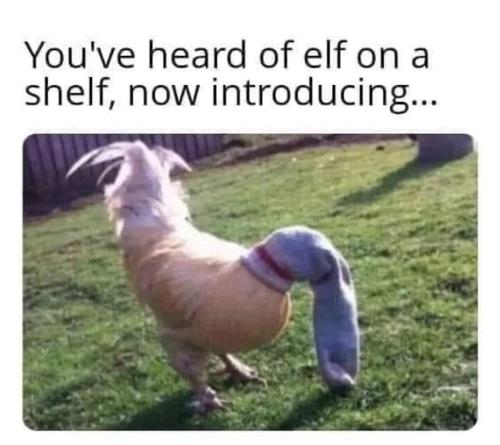 FB_IMG_1700831351564