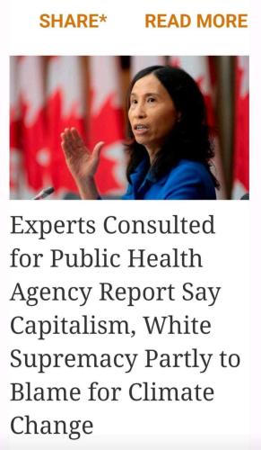 Expert Public health says