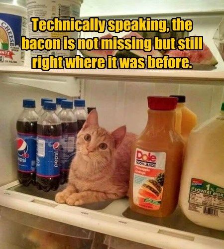 638cd26512eaecbcb3bf43d1fe9da0e4