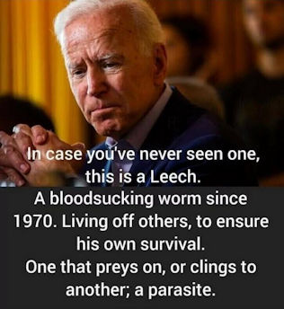 biden1468