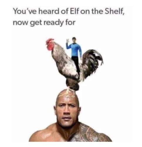 FB_IMG_1701503340176