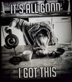 379a94e24855ad651ef80440af32e02c