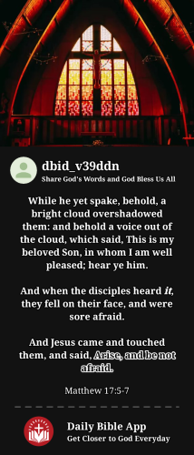 2023-12-281703816674382