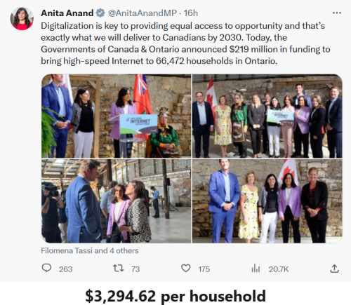 anita anand internet