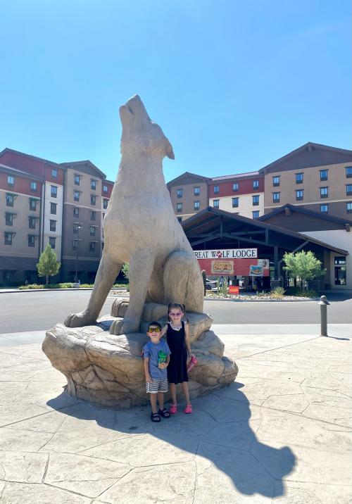 B4AC3CAB-F396-43CE-931C-E66FAFA2BEDA